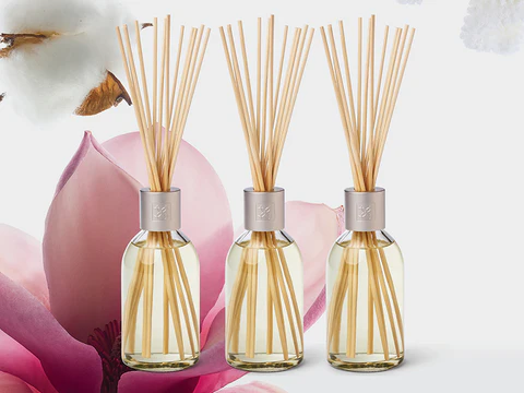 Elevate Your Home's Sensory Landscape